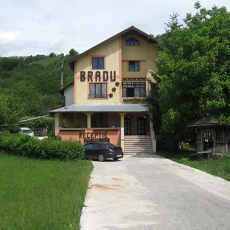 Pensiunea BRADU-3